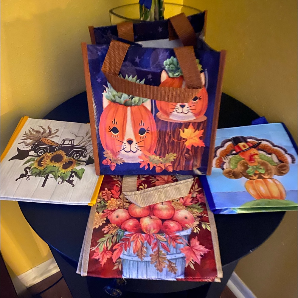 Food carry bags. All 4 bags are included. 8x8x8